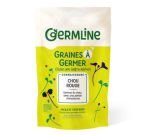 Graines à germer - Chou rouge